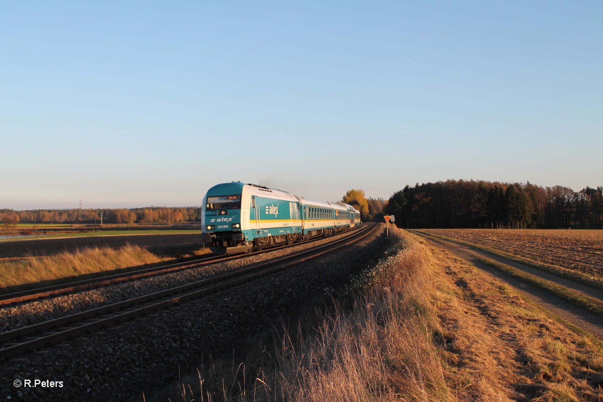 223 065 ALX84110 Mnchen - Hof bei Oberteich. 31.10.13