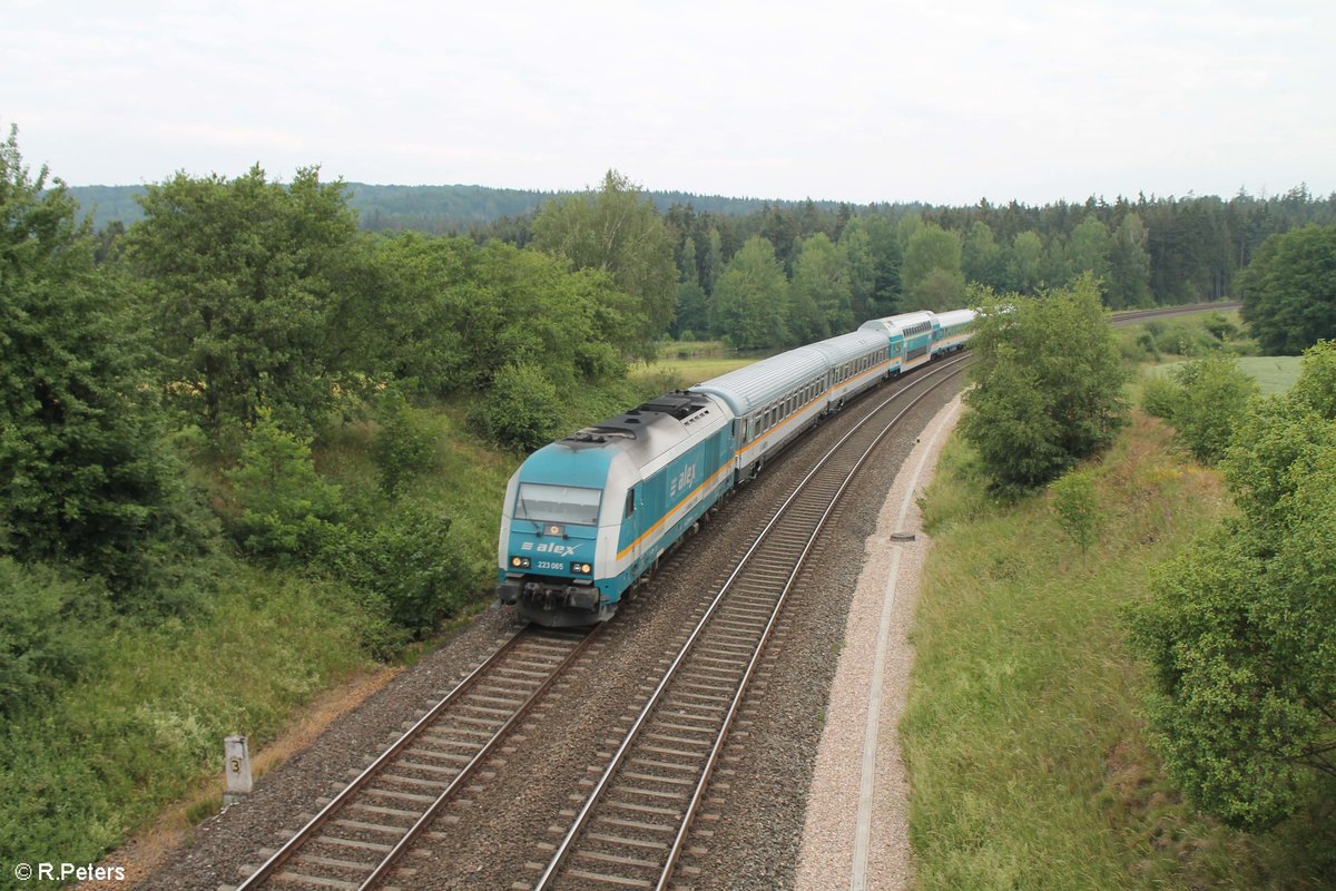 223 065 zieht den ALX84104 Hof- München bei Oberteich. 16.06.18