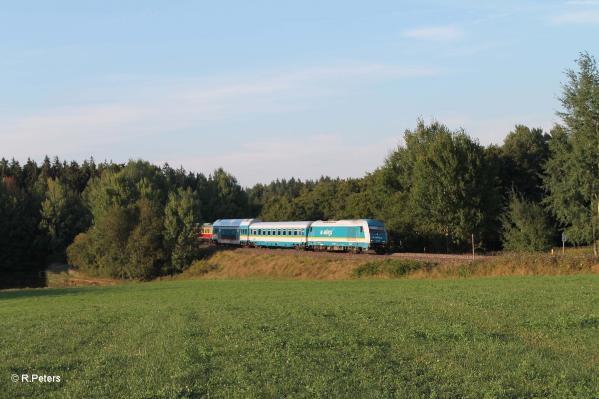 223 067 mit ALX84121 Hof nach Mnchen bei Oberteich. 07.09.13