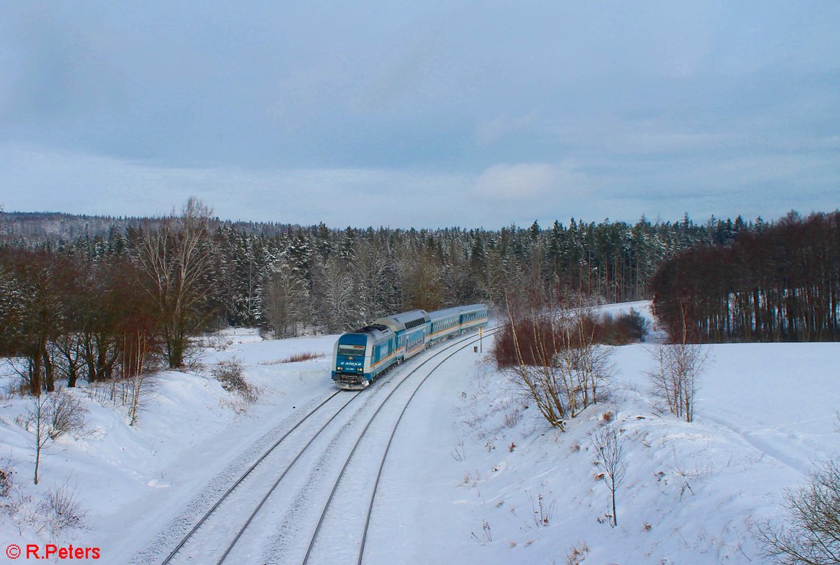 223 068 Alexa mit dem ALX 79860 Hof - München bei Oberteich. 27.01.21