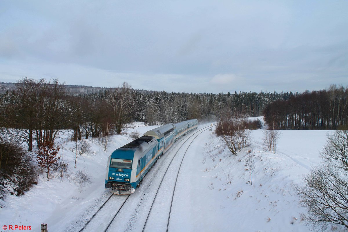 223 068 Alexa mit dem ALX 79860 Hof - München bei Oberteich. 27.01.21