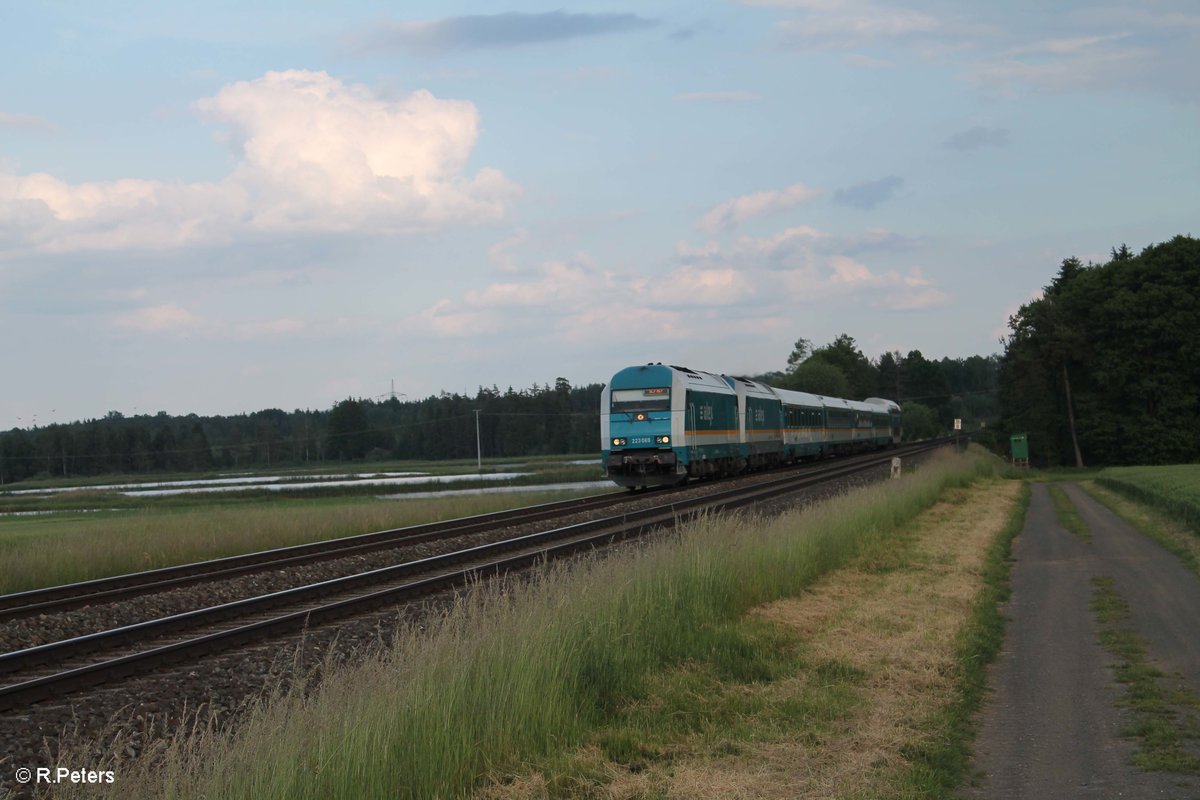 223 069 + 223 063 und dem ALX8411x München - Hof bei Oberteich. 10.06.16