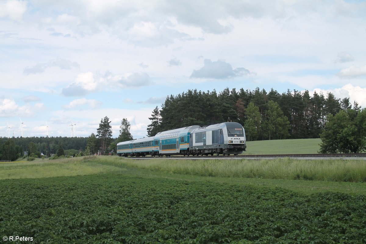 223 081 alias D81 zieht den ALX79854 Hof - München bei Marktleuthen. 20.06.19