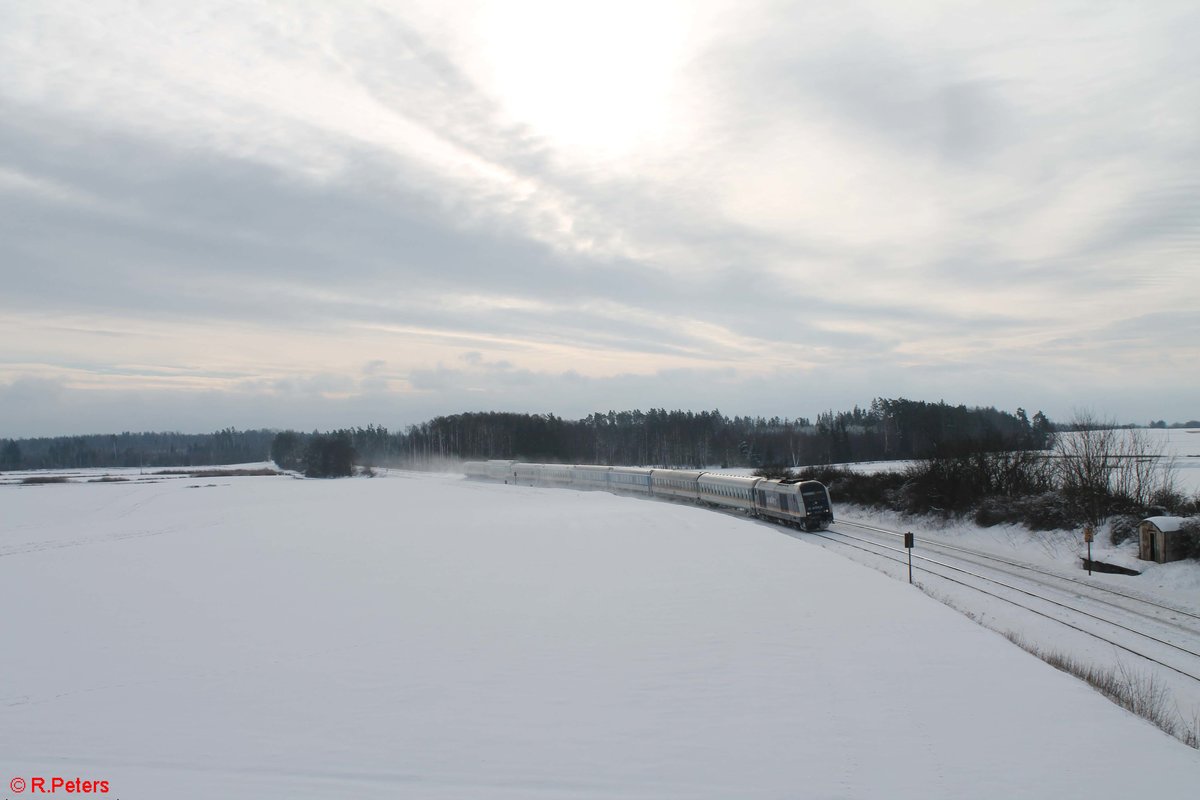 223 081 zieht ein bunt gemischten Alex bei Oberteich in Richtung Hof. 27.01.21