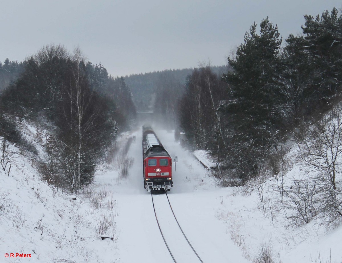 223 662-6 durchfährt den ehmaligen Bahnhof Seußen mit dem 45368 Cheb - Nürnberg. 31.01.15