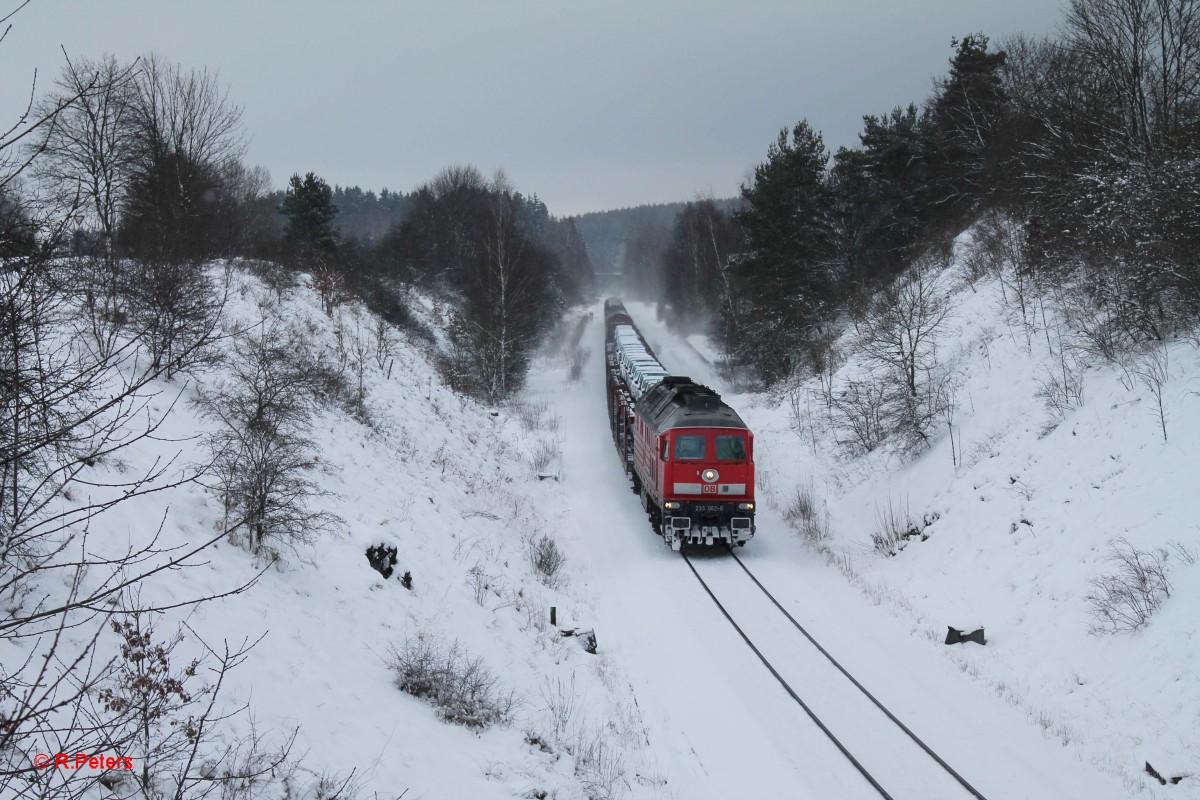 223 662-6 durchfährt den ehmaligen Bahnhof Seußen mit dem 45368 Cheb - Nürnberg. 31.01.15