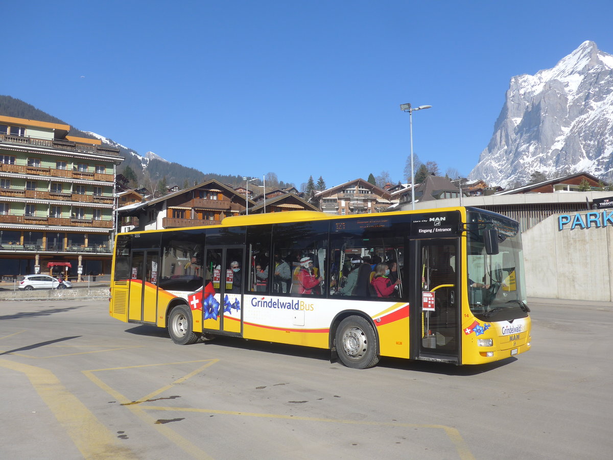 (223'888) - Grindelwaldbus, Grindelwald - Nr. 14/BE 202'568 - MAN/G�ppel am 28. Februar 2021 beim Bahnhof Grindelwald