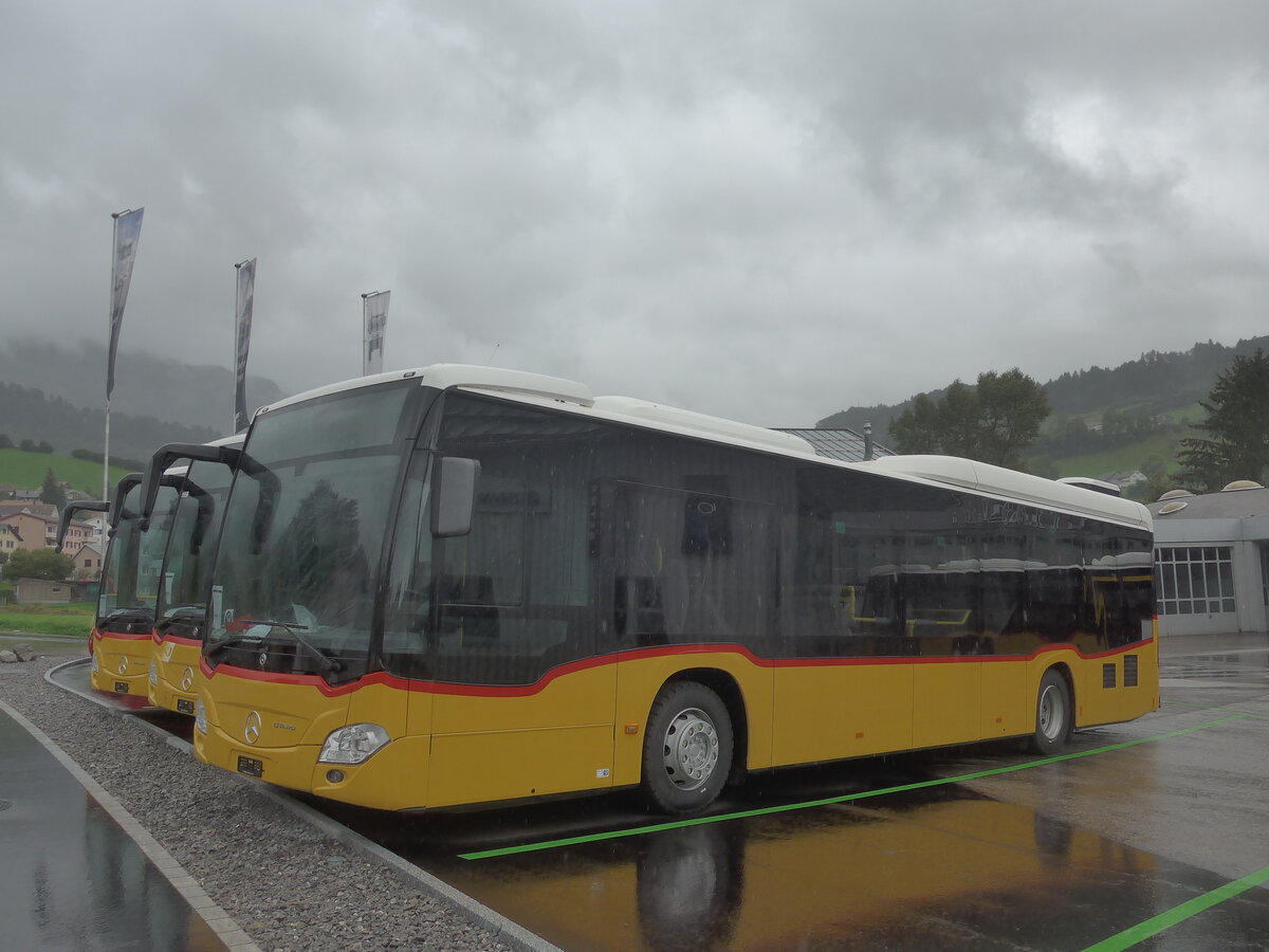 (228'135) - PostAuto Graubnden - PID 11'659 - Mercedes am 19. September 2021 in Nesslau, Altherr