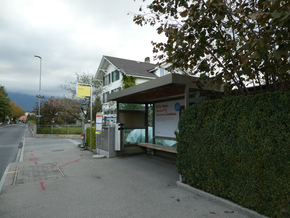 (229'126) - STI-Haltestelle am 13. Oktober 2021 in Thun-Lerchenfeld, Forstweg