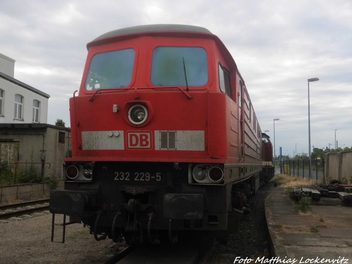232 229 auf dem LEG Gel�nde in Delitzsch am 29.6.15