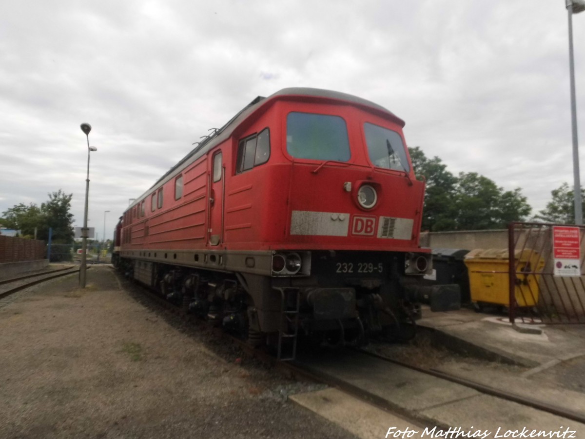 232 229 auf dem LEG Gel�nde in Delitzsch am 29.6.15