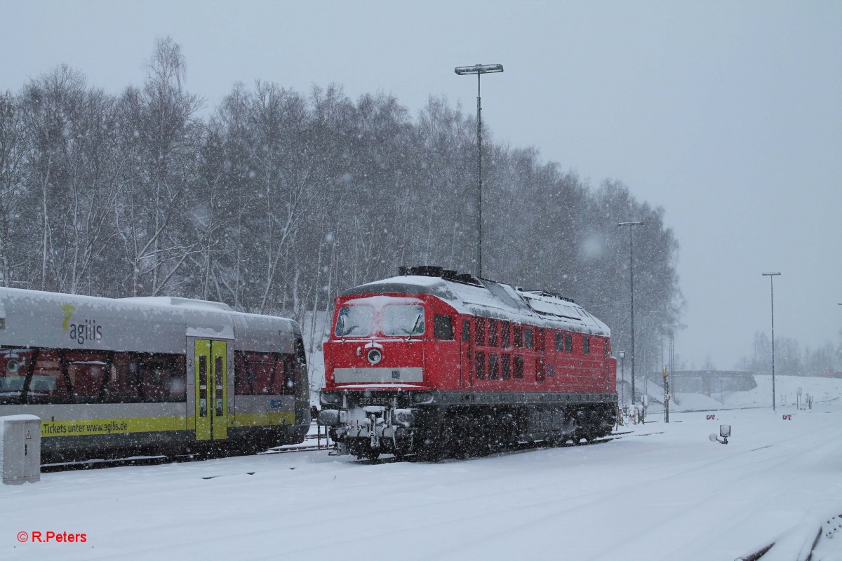 232 359-0 abgestellt im verschneiten Marktredwitz. 31.01.15