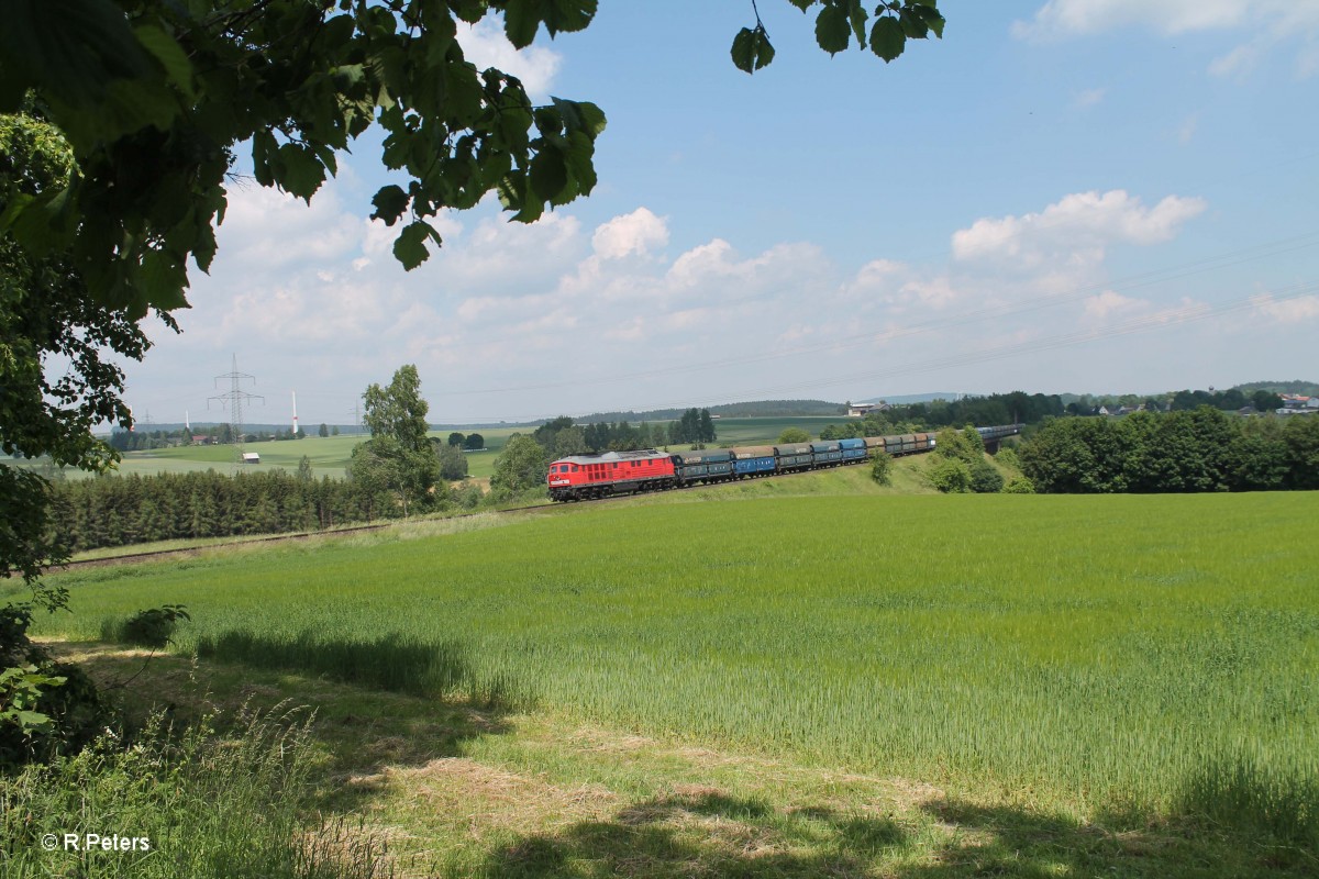 232 359-0 zieht beim Seußener Viadukt den 47390 Polenkohle XTCH - Regensburg. 12.06.15