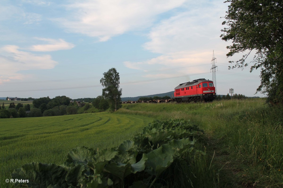 232 388-9 mit dem arg verspäteten 45460 XTCH - NNT beim Seußener Viadukt. 06.06.15