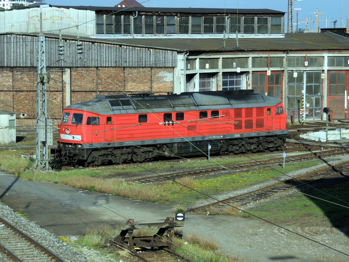 232 388-9 in Ulm an der Drehscheibe im Bw am 10.04.2014.