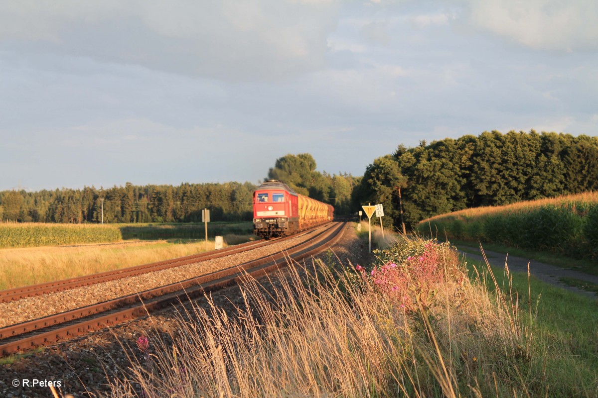 232 618-9 mit leer Schotterzug bei Oberteich. 19.08.14