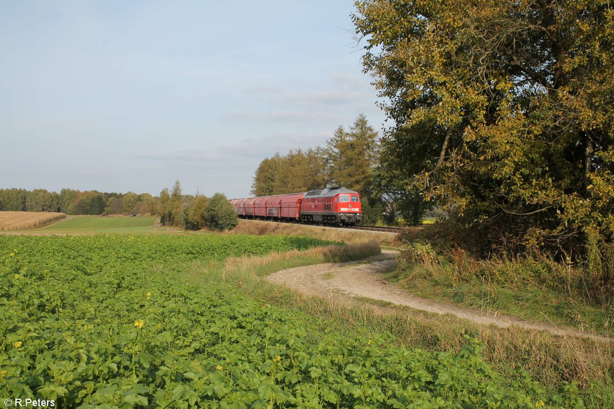 232 703 mit dem GAG 44330 Gibszug nach Ipfhofen bei Waldershof. 18.10.21