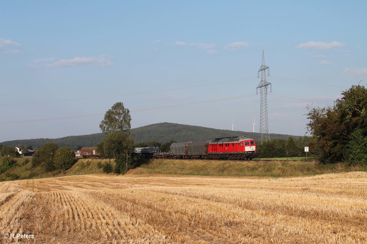 232 909-2 zieht über das Röslau Viadukt bei Seußen den 45366 XTCH nach NNR. 13.09.16