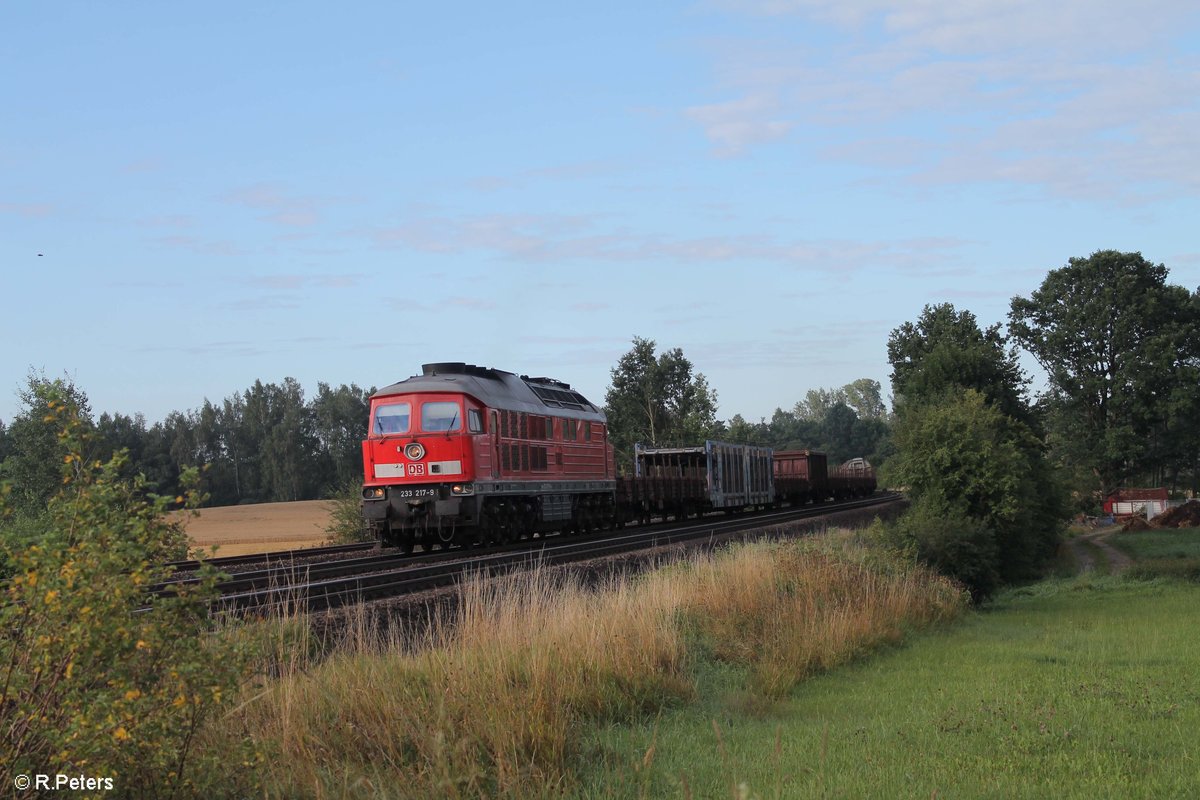 233 217-9 zieht bei Schönfeld den EZ 45367 Nürnberg - Cheb. 05.08.17