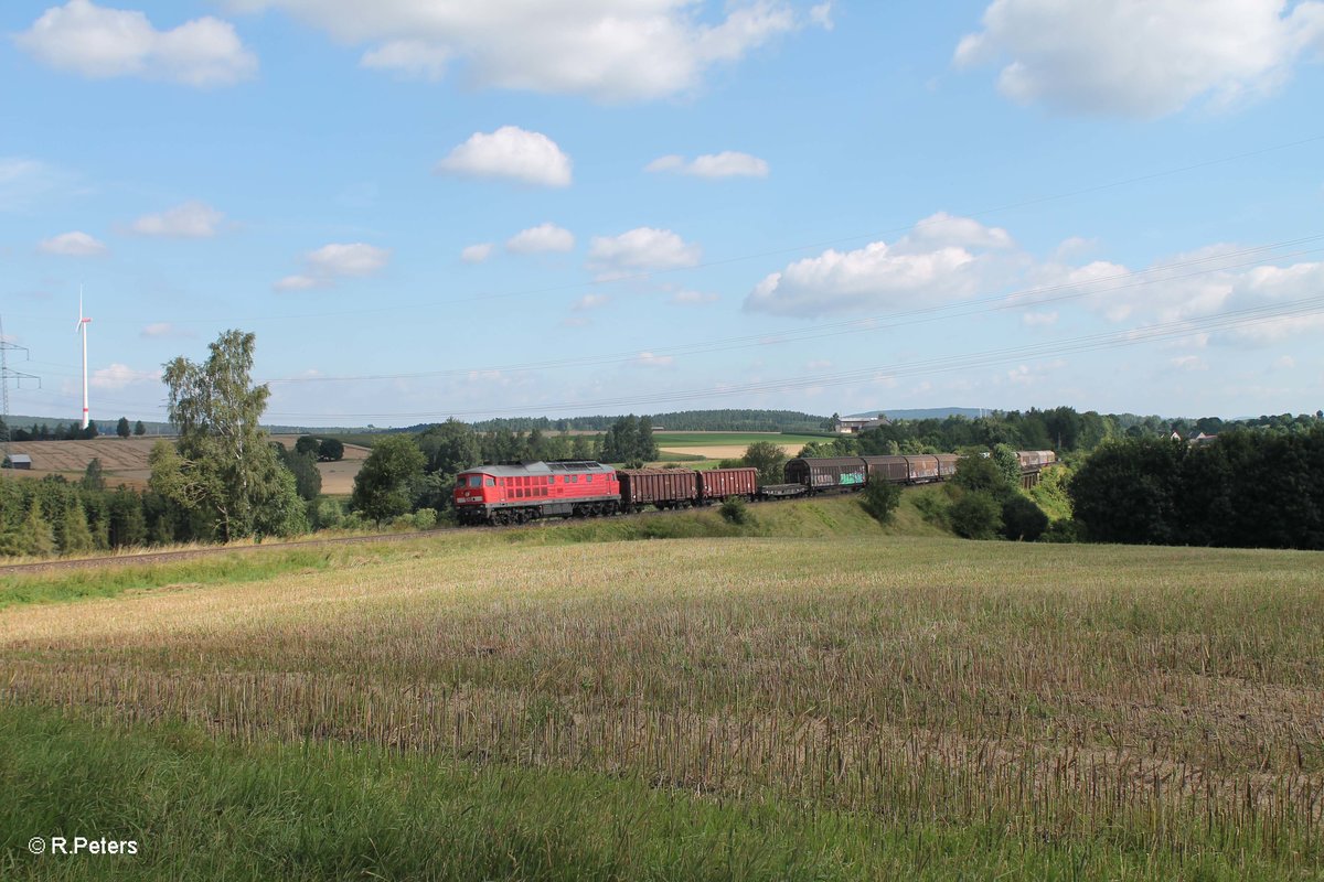 233 219-5 zieht bei Seußen den 45362 XTCH - NNR übers Viadukt. 07.08.16