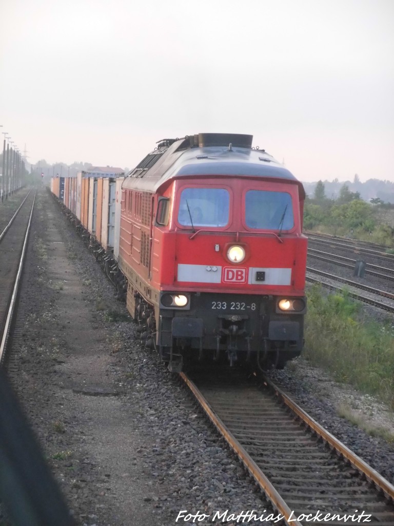 233 232 mit einem G�terzug in Baalberge am 3.9.15