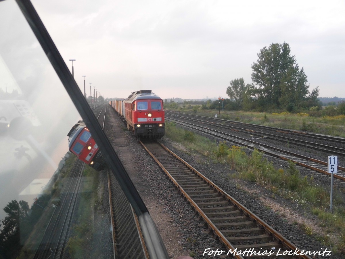 233 232 mit einem G�terzug in Baalberge am 3.9.15