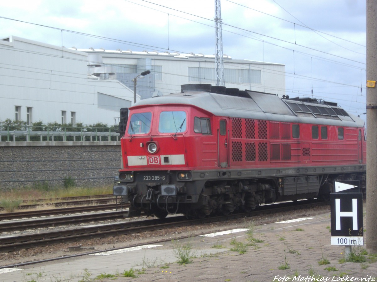 233 285-6 kurz vor der Weiterfahrt im Bahnhof Waren (M�ritz) am 16.6.14