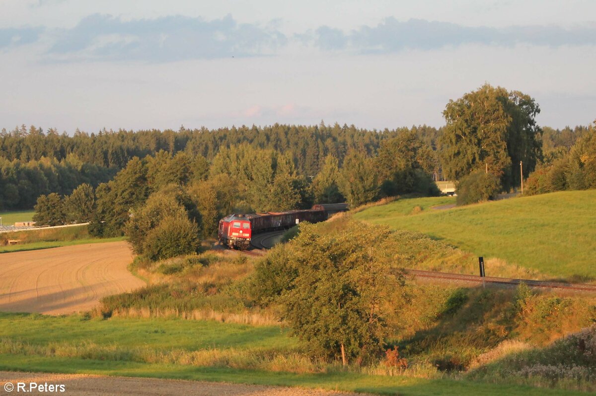 233 321-9 mit dem EZ 45366 XTCH - NNR bei Escheldorf. 14.09.21