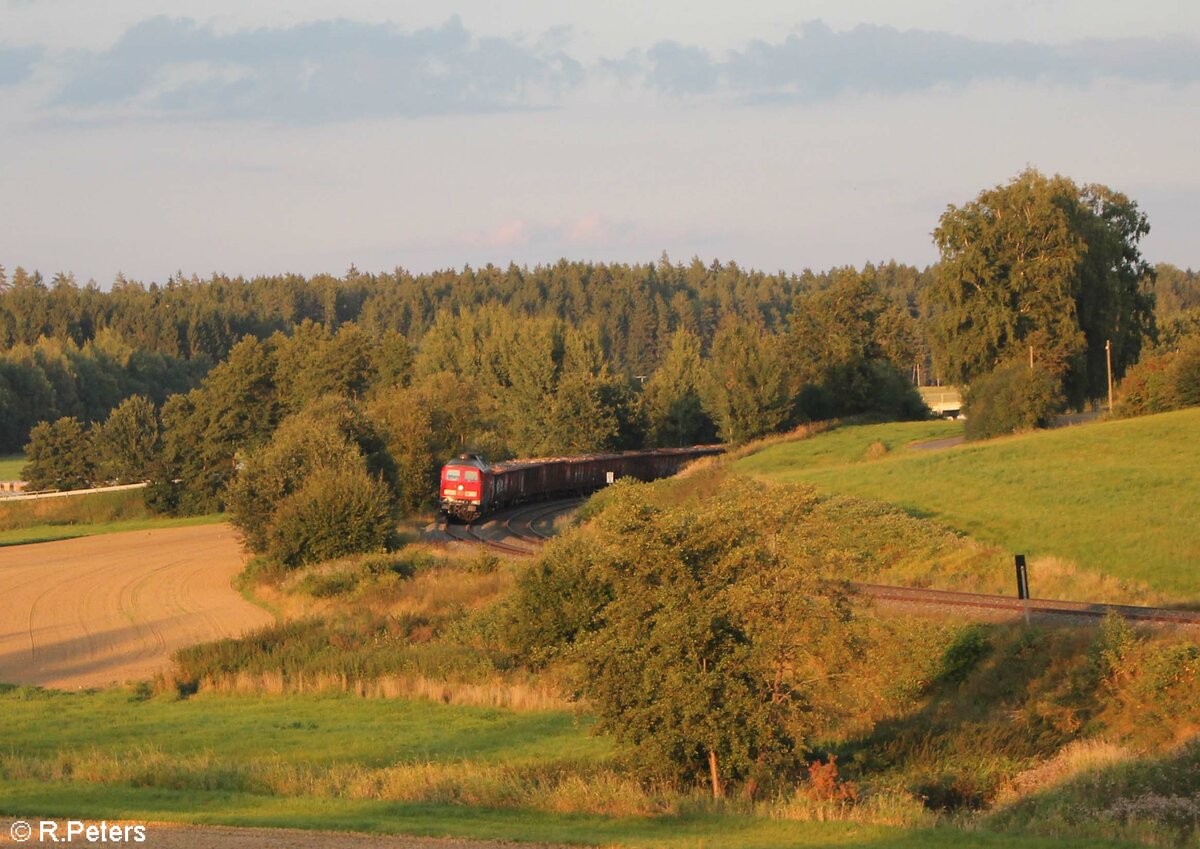 233 321 mit dem EZ 45366 XTCH - NNR bei Escheldorf. 14.09.21