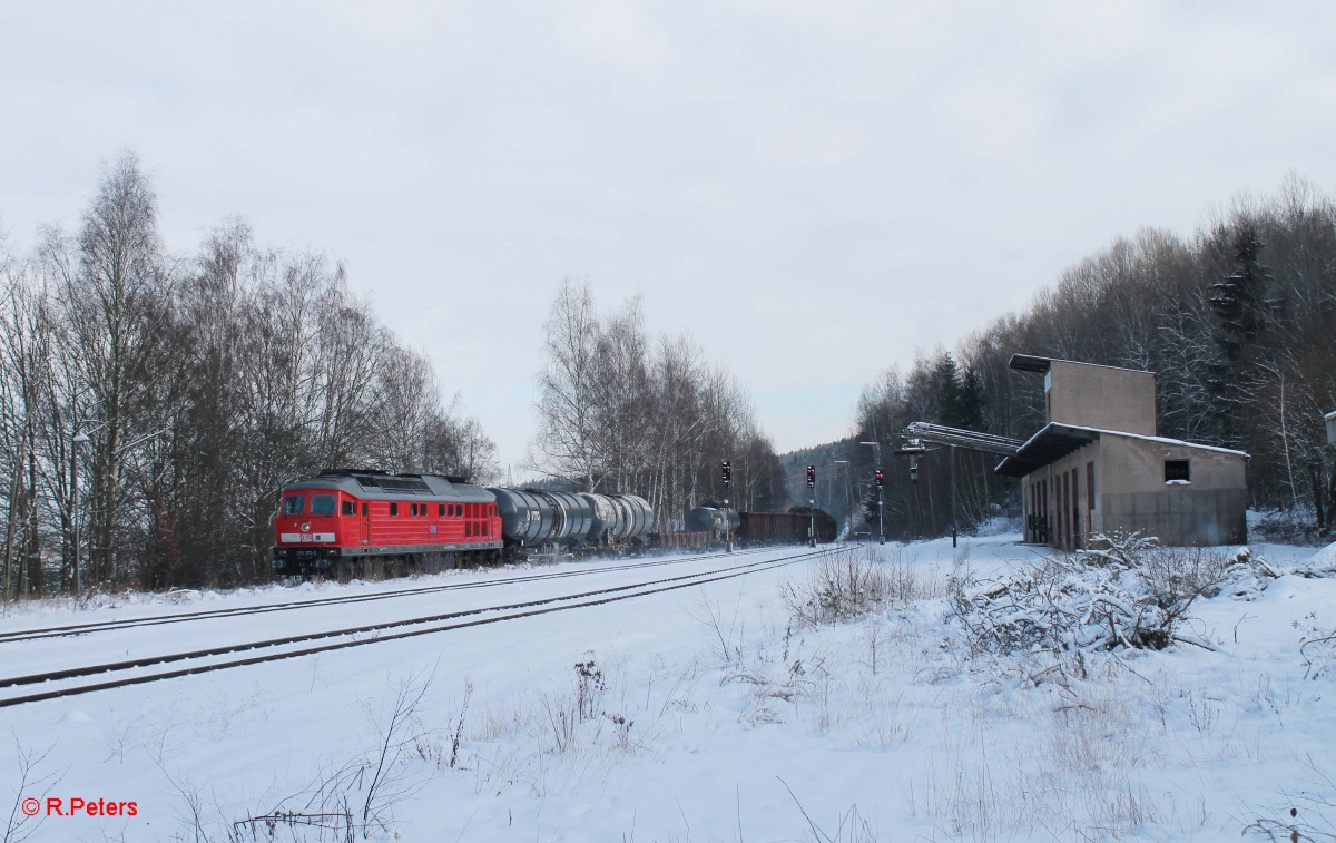 233 373 mit dem 45362 Cheb - Nürnberg bei der Einfahrt in Arzberg. 01.02.15