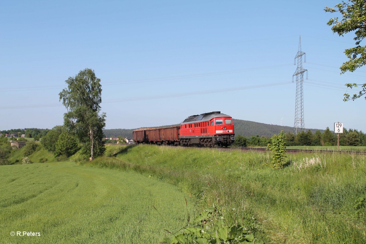 233 636-8 hat gerade das Seußener Viadukt passiert mit dem 45366 XTCH - NNR. 04.06.15