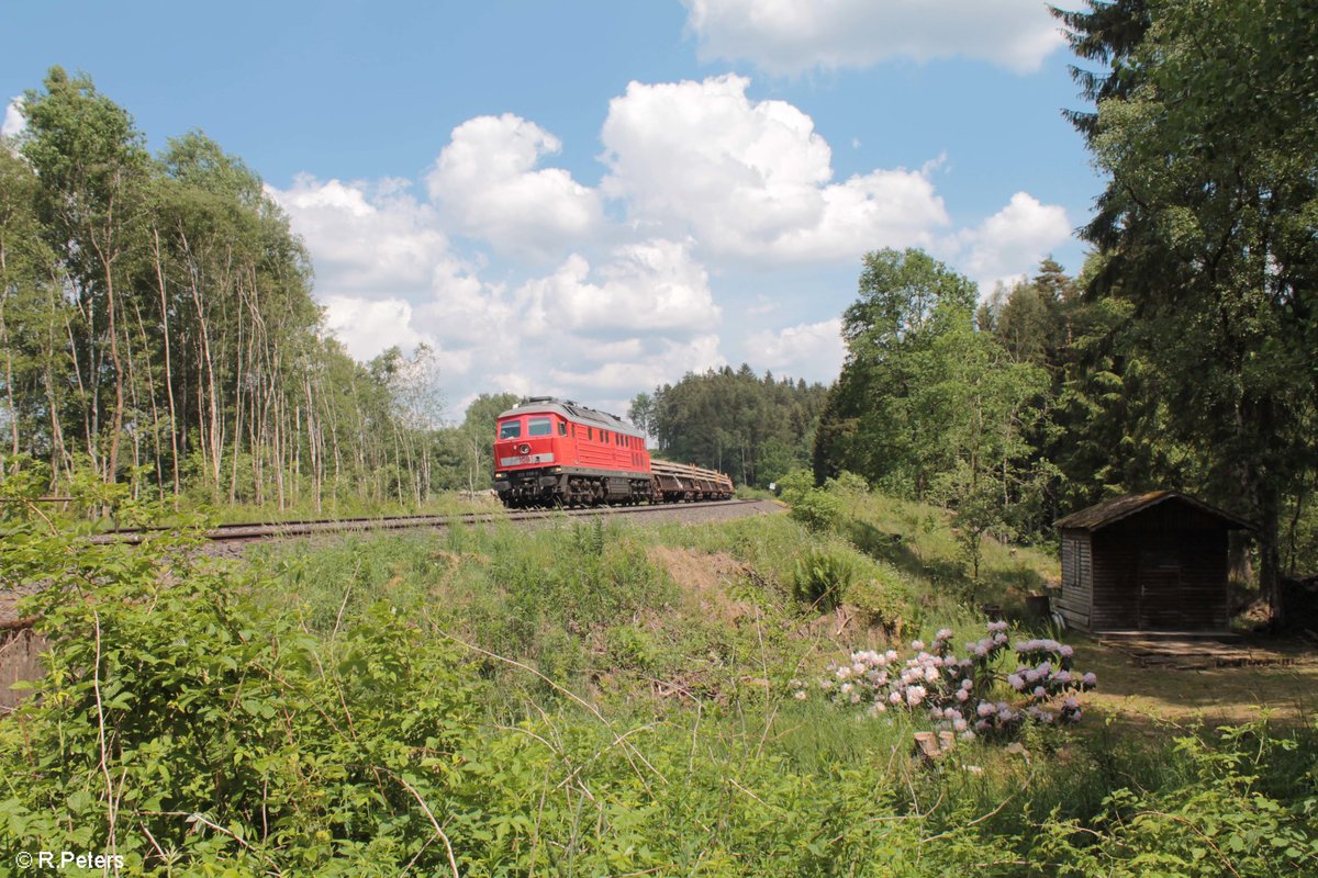 233 698-0 übernahm ab Hof den GB 62341 Schwellenzug nach Nürnberg und zieht hier durch die grüne Hölle zwischen Neusorg und Immenreuth ihrem Ziel entgegen. 28.05.18