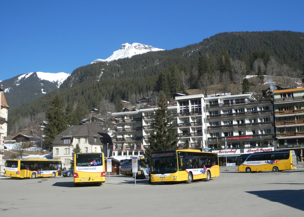 (233'239) - Grindelwaldbus, Grindelwald - Nr. 20/BE 349'361 + Nr. 19/BE 363'305 - MAN/G�ppel am 27. Februar 2022 beim Bahnhof Grindelwald