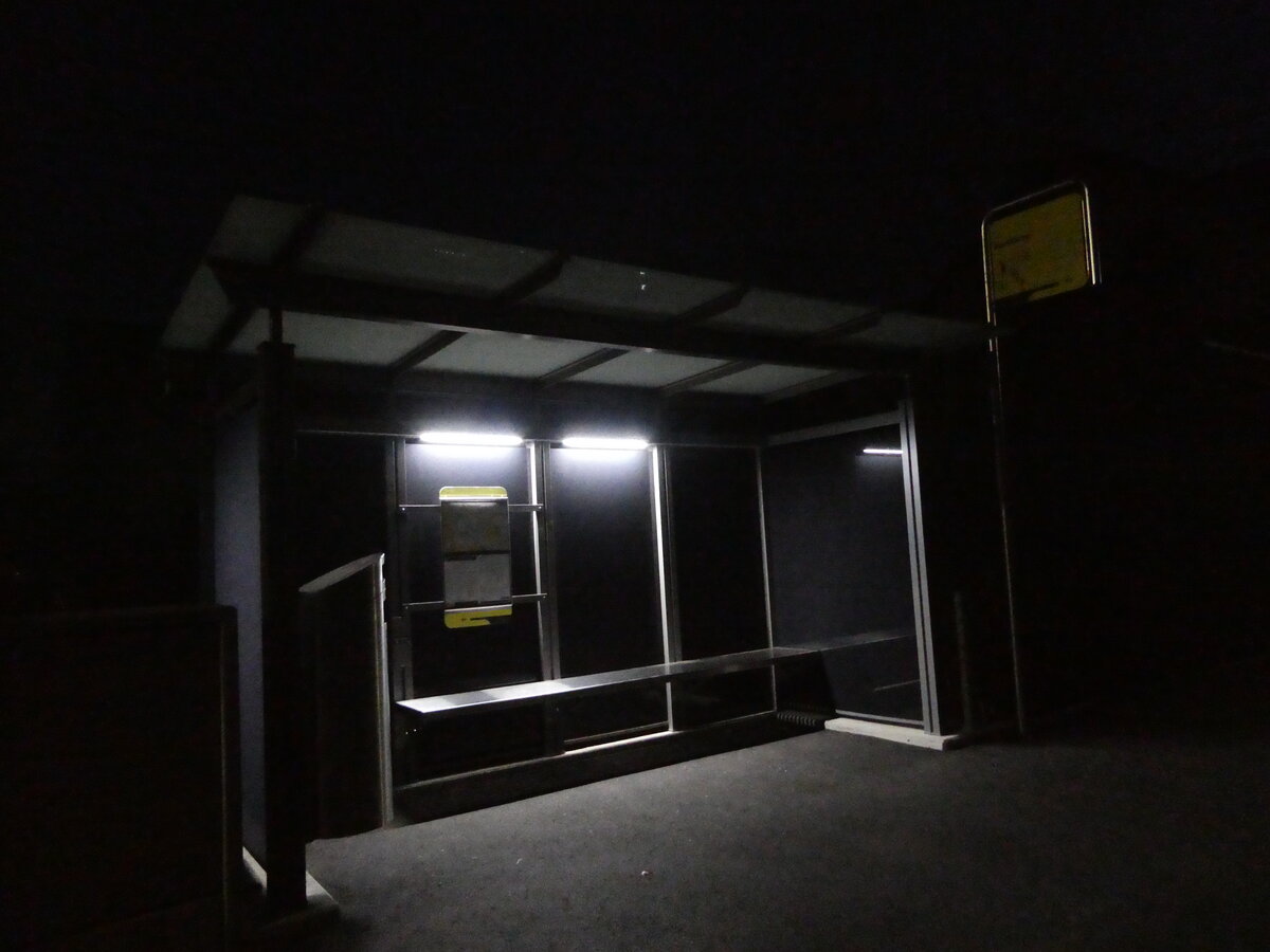 (233'502) - STI-Haltestelle am 8. M�rz 2022 in Thun-Lerchenfeld, Forstweg