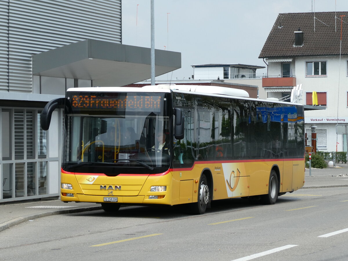 (235'411) - PostAuto Ostschweiz - TG 158'208 - MAN (ex Nr. 32) am 7. Mai 2022 in Frauenfeld, Thurgipark