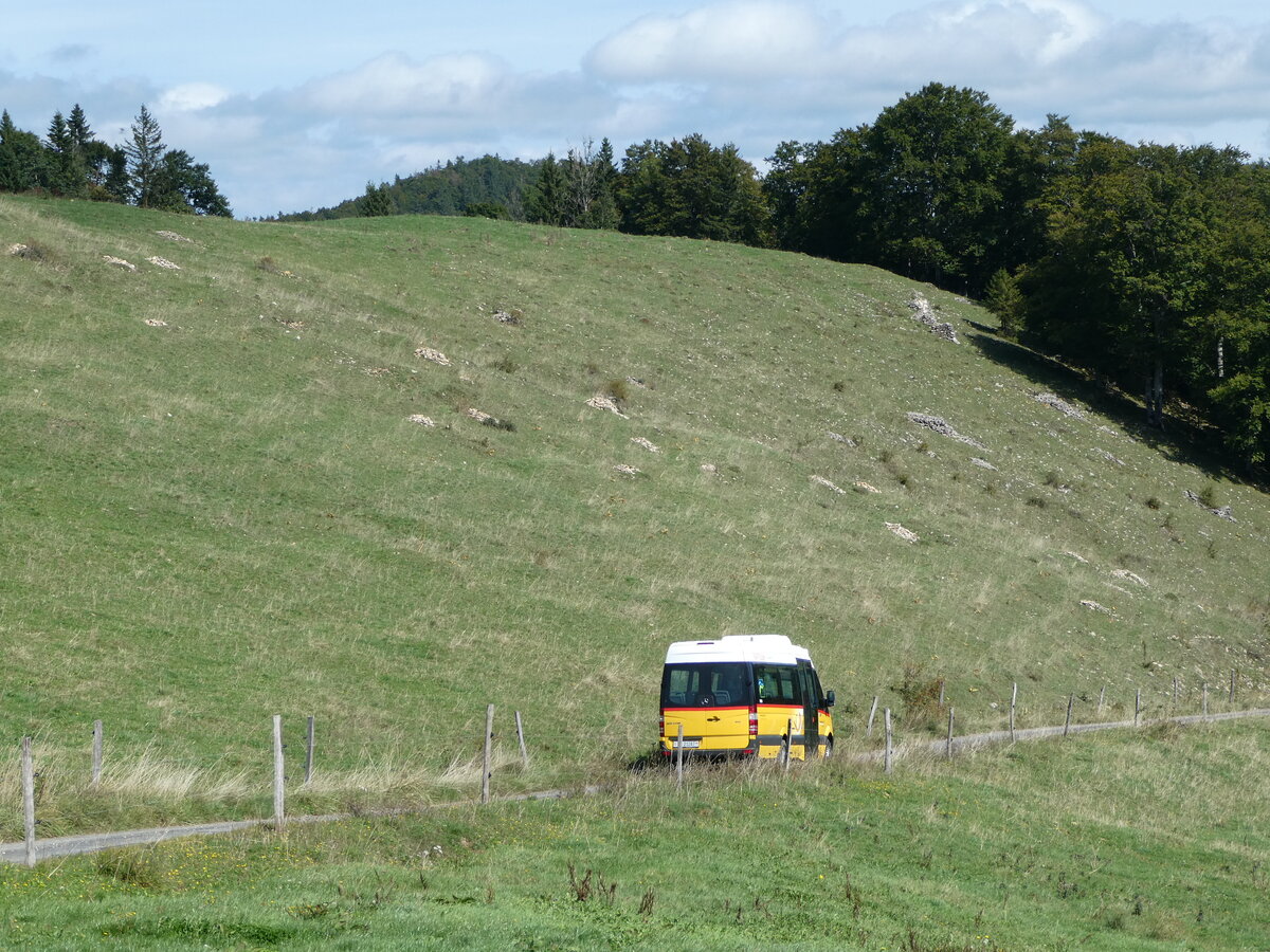 (240'124) - Wyss, Boningen - SO 21'287 - Mercedes am 18. September 2022 in Herbetswil, Hinterer Brandberg