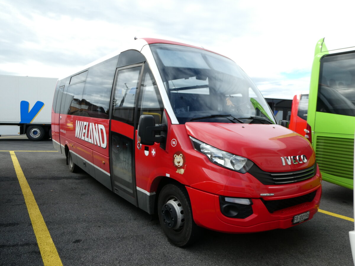 (241'385) - Wieland, Murten - Nr. 96/FR 300'596 - Iveco/Rosero am 15. Oktober 2022 in Kerzers, Interbus