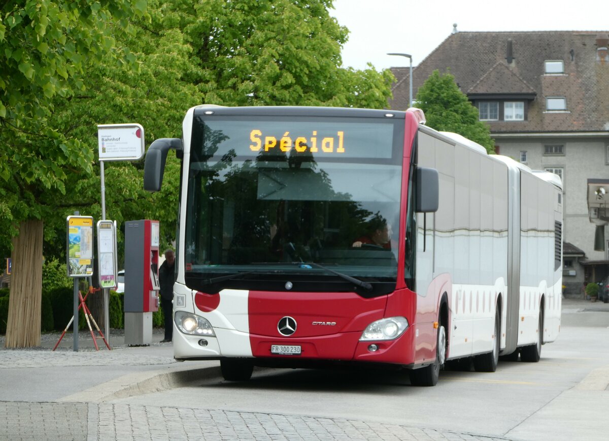 (250'291) - TPF Fribourg - Nr. 183/FR 300'300'230 - Mercedes am 20. Mai 2023 beim Bahnhof D�dingen