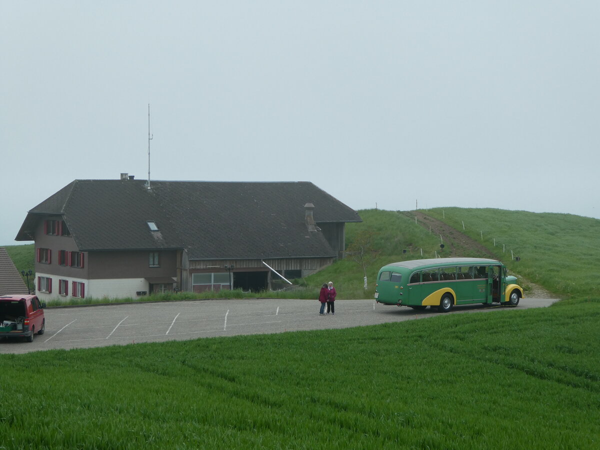 (250'394) - STI Thun - Nr. 15/BE 26'776 - Saurer/Gangloff (ex AvH Heimenschwand Nr. 5) am 24. Mai 2023 in Belpberg, Chutze