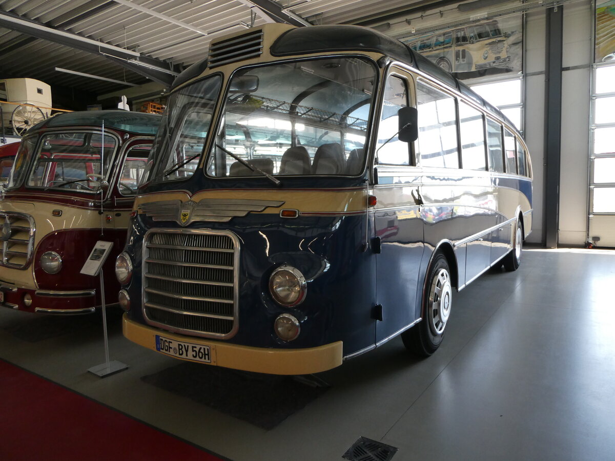 (250'947) - Auw�rter, Pilsting - DGF-BY 56H - Neoplan am 4. Juni 2023 in Pilsting, Auw�rter Automobil-Park