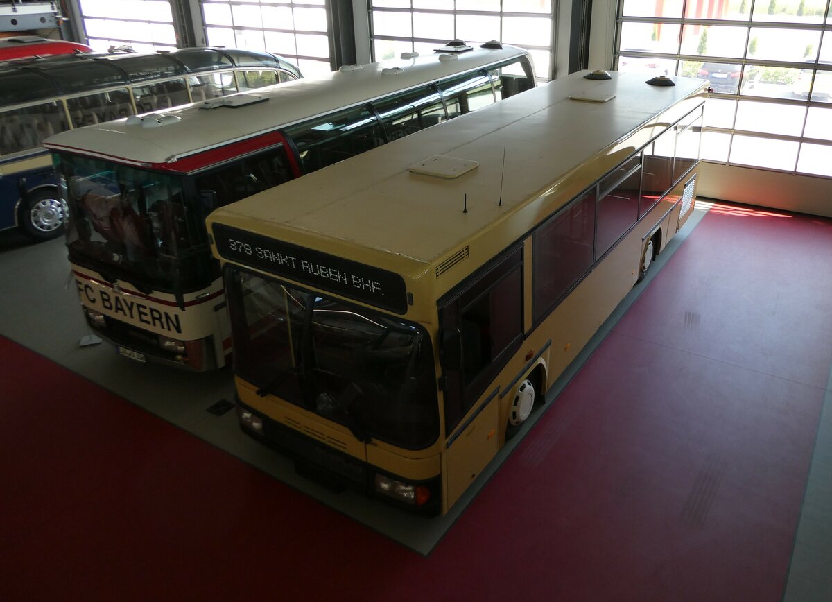 (250'958) - Auw�rter, Pilsting - Neoplan (ex BVG Berlin Nr. 2423) am 4. Juni 2023 in Pilsting, Auw�rter Automobil-Park