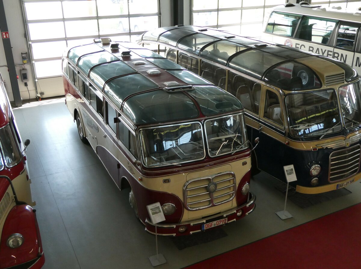 (250'963) - Wildi, Luzern (Auw�rter) - DGF 0792 - Mercedes/Auw�rter am 4. Juni 2023 in Pilsting, Auw�rter Automobil-Park