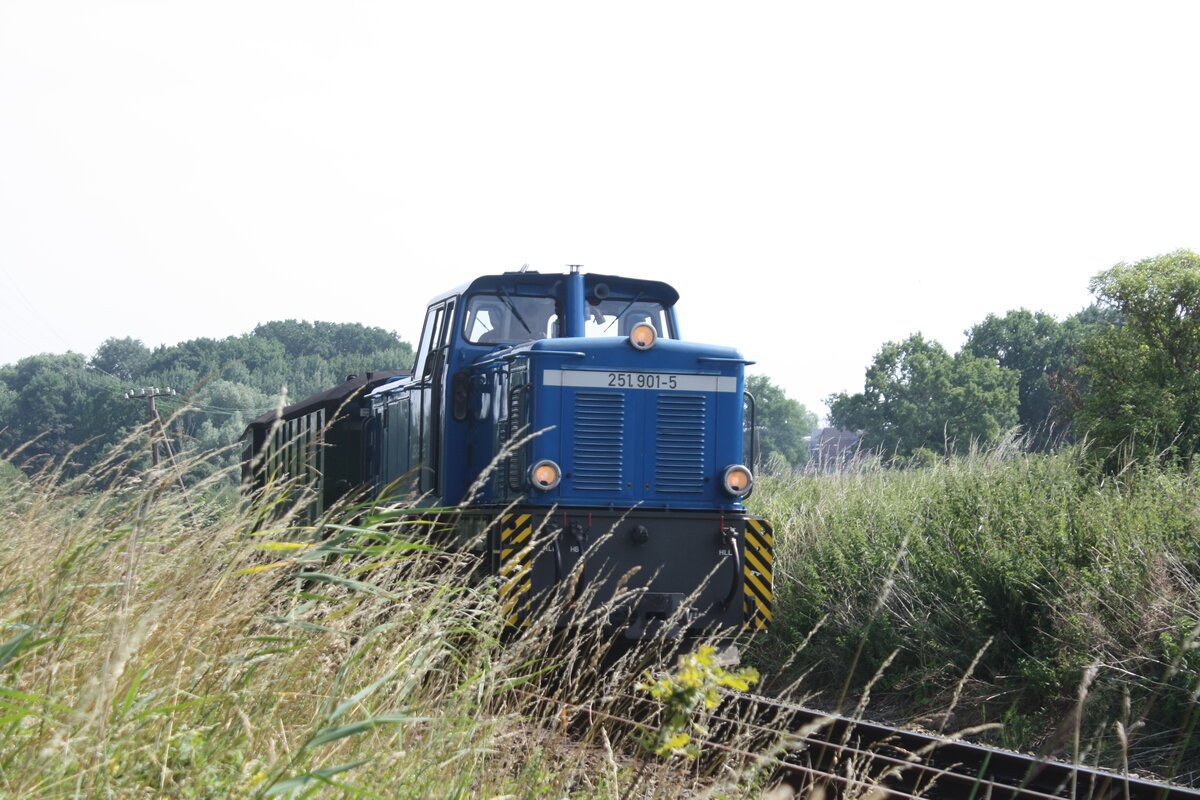 251 901 der R�BB unterwegs nach Putbus am 26.7.21