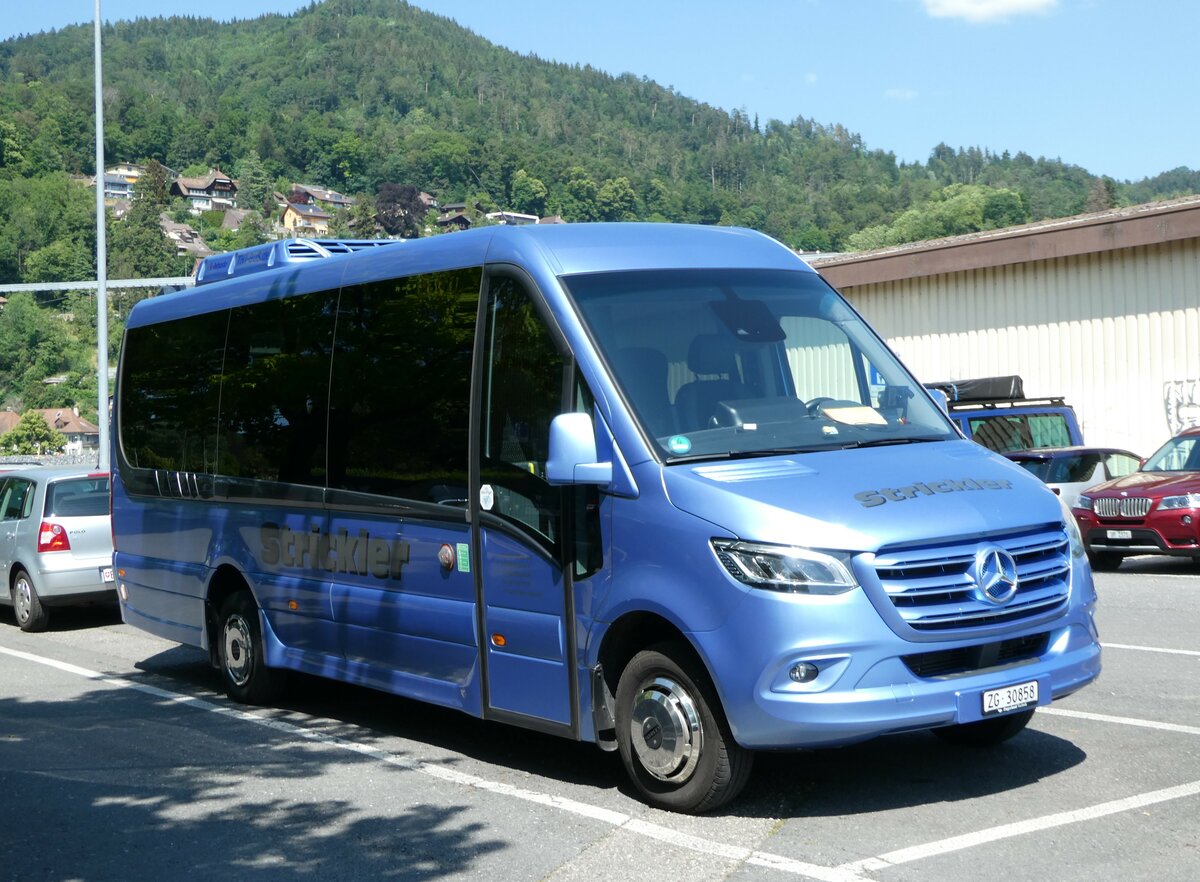 (251'499) - Strickler, Neuheim - ZG 30'858 - Mercedes am 14. Juni 2023 in Thun, Seestrasse