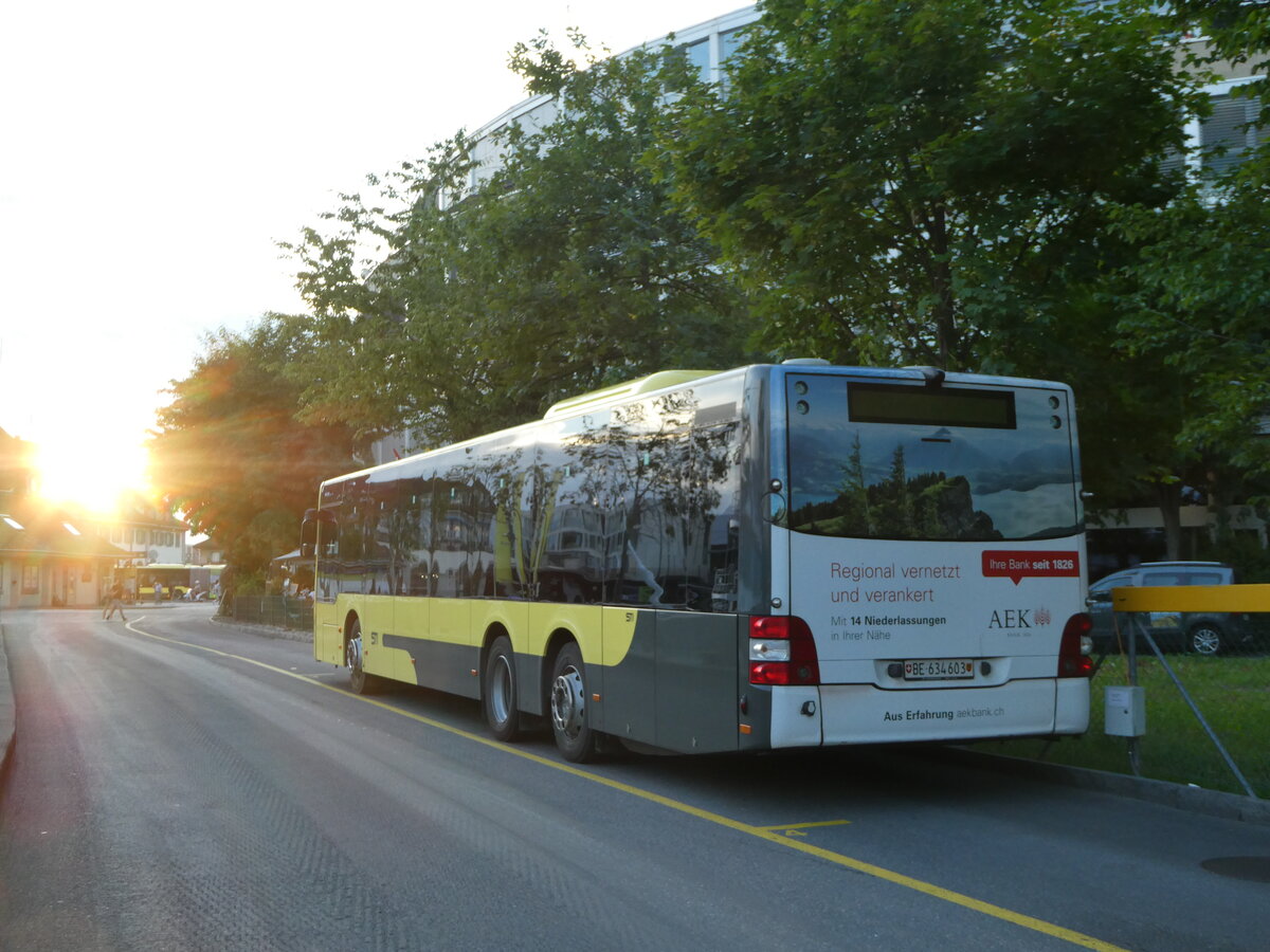 (253'266) - STI Thun - Nr. 603/BE 634'603 - MAN am 31. Juli 2023 bei der Schiffl�ndte Thun