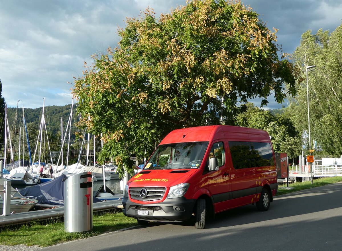 (253'375) - Herold Taxi, St. Gallen - SG 316'152 - Mercedes am 3. August 2023 in Thun, Strandbad