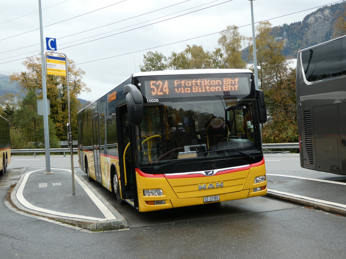 (256'566) - PostAuto Ostschweiz - SZ 27'381/PID 10'020 - MAN (ex Kistler, Reichenburg) am 31. Oktober 2023 beim Bahnhof Ziegelbr�cke