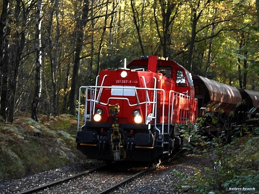 261 067-3 schob einen g�terzug vom bhf glinde durch den herbstwald richtung koops