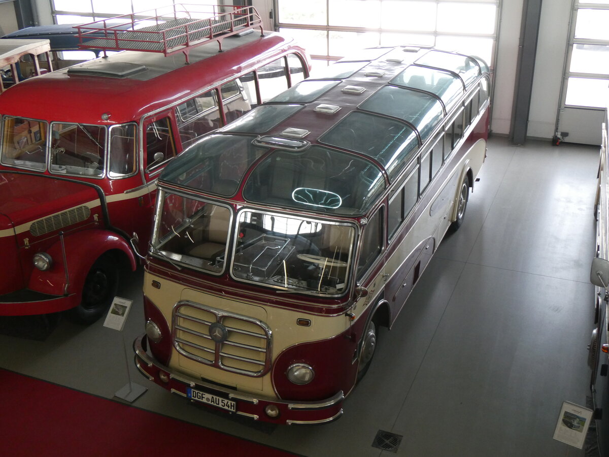 (261'391) - Wildi, Luzern (Auw�rter) - DGF-AU 54H - Mercedes/Auw�rter am 14. April 2024 in Pilsting, Auw�rter Automobil-Park