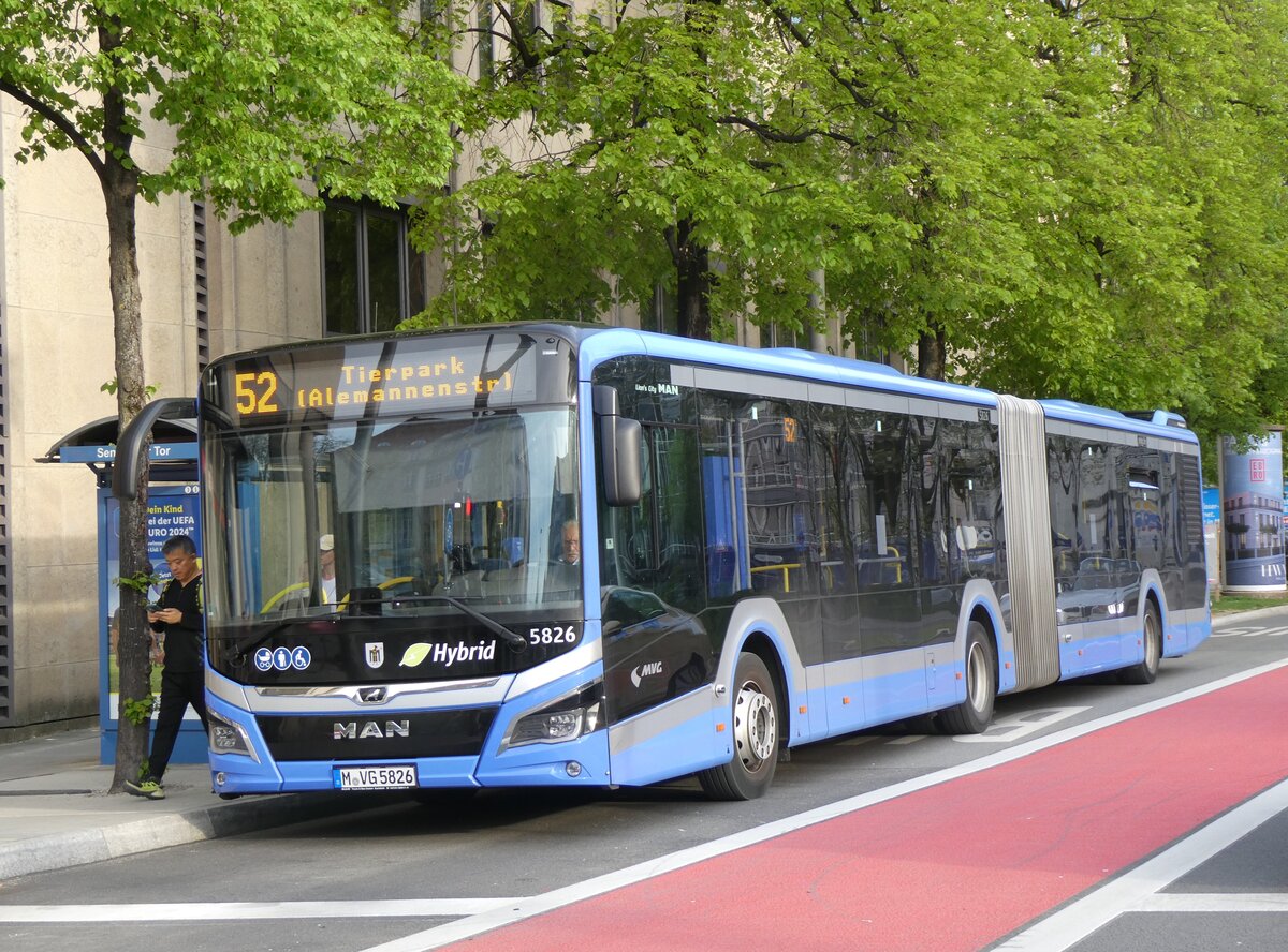 (261'421) - MVG M�nchen - Nr. 5826/M-VG 5826 - MAN am 14. April 2024 in M�nchen, Sendlinger Tor